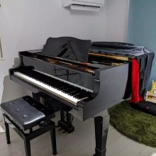 Piano教室wellen